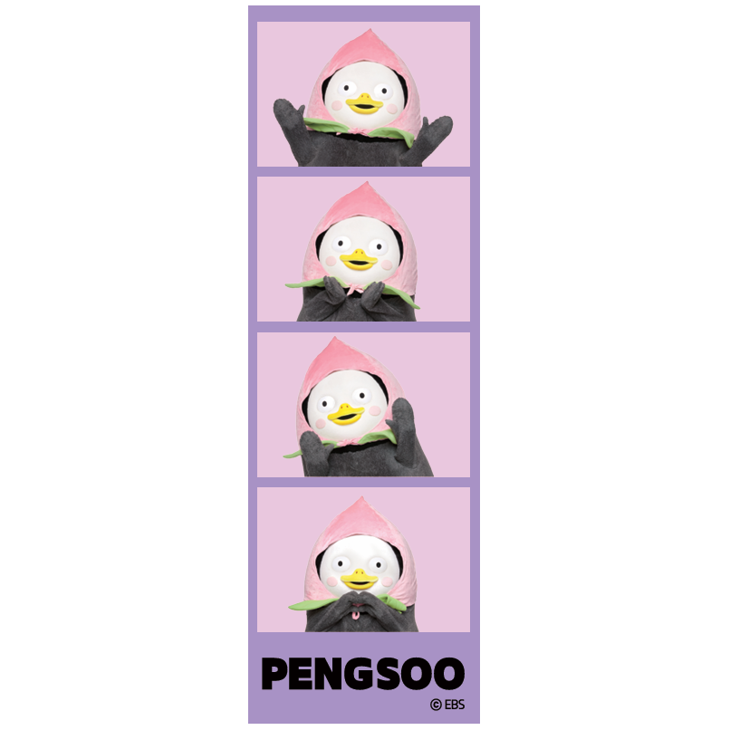 PENGSOO 4カットフォトステッカー(ポートレートver.)-C